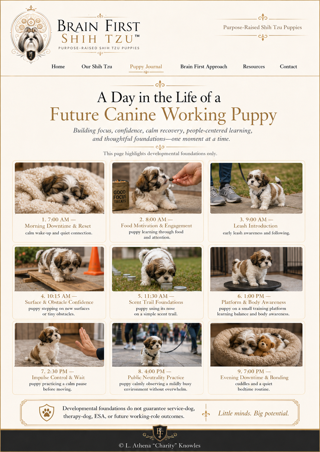 Poster: A Day in the Life of a Future Canine Working Puppy