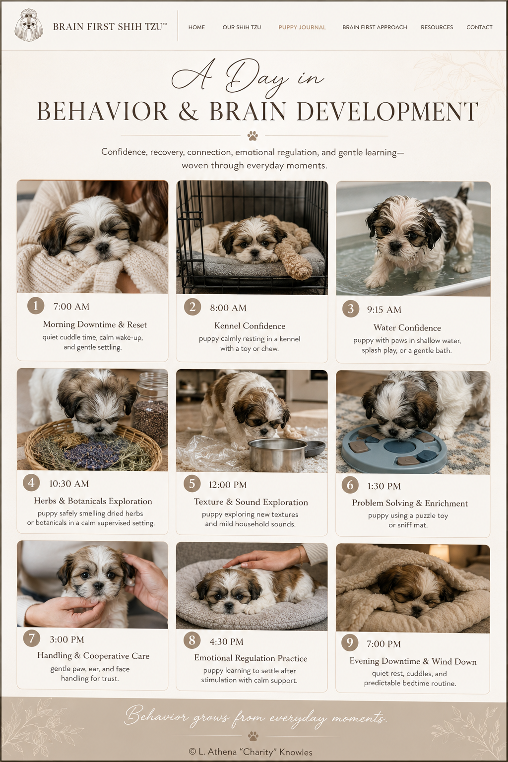 Poster: A Day in Behavior & Brain Development
