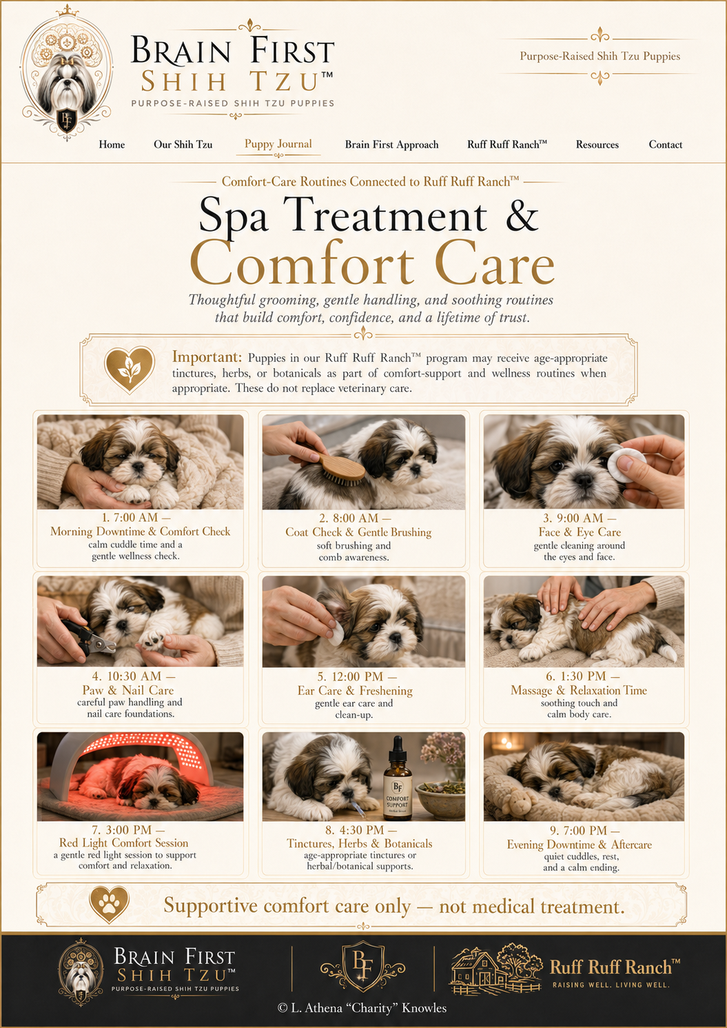 Poster: Spa Treatment & Comfort Care