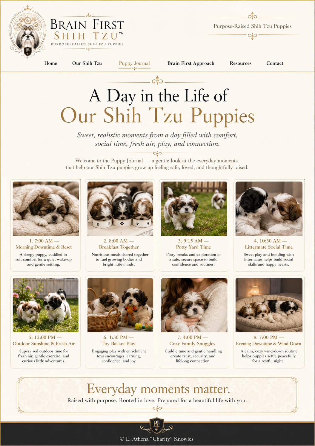 Poster: A Day in the Life of Our Shih Tzu Puppies